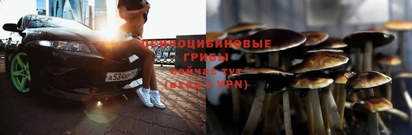 винт Елабуга